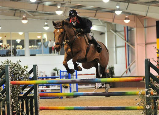 George Whitaker Showjumper